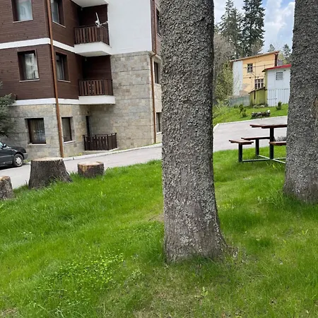 Gardens Mvs D42 Боровец