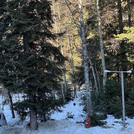 Gardens Mvs D42 아파트호텔 보로베츠