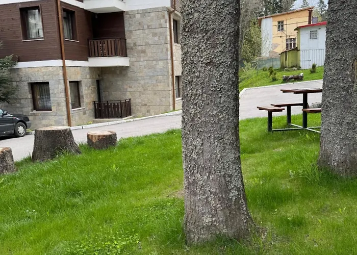 Gardens Mvs D42 Боровец