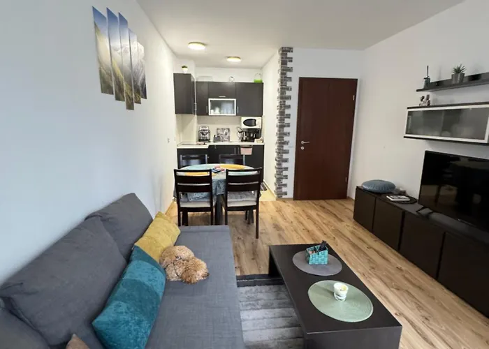 Gardens Mvs D42 Боровец