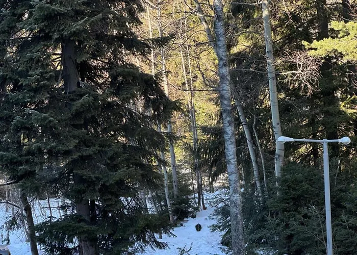 Gardens Mvs D42 Апарт-отель Боровец