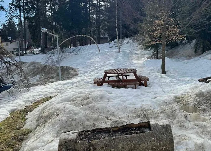 Апарт-отель Gardens Mvs D42